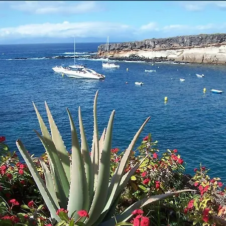 Playa Paraiso דירה